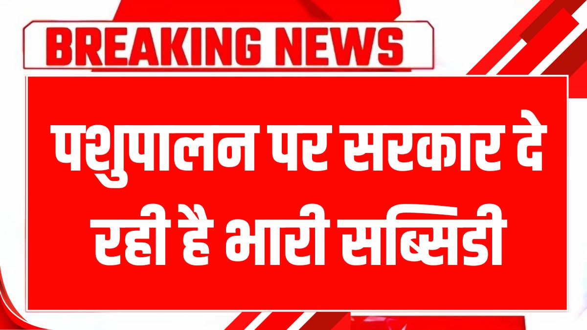 haryana pashu loan yojana 2025